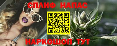 ешки Камышлов