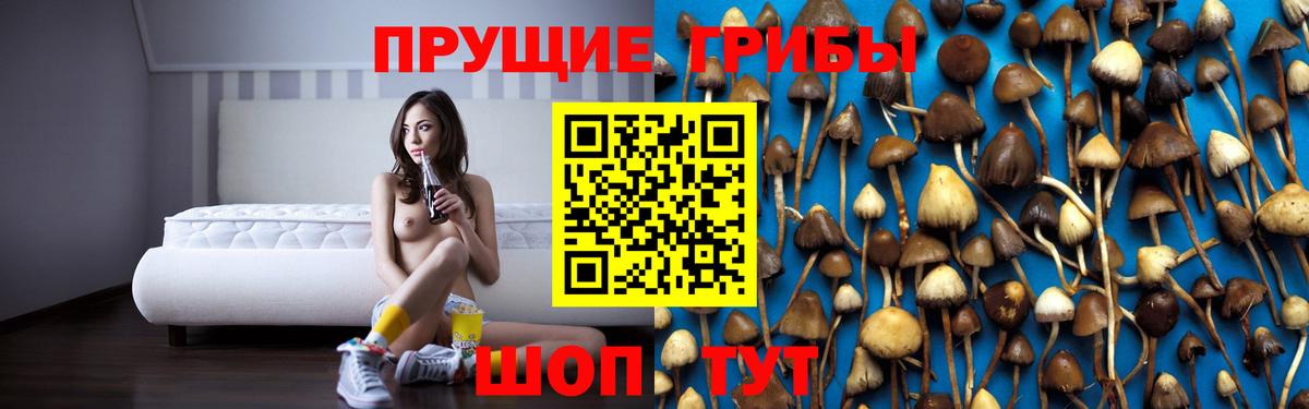 Псилоцибиновые грибы Cubensis  Вход с VPN  купить  цена  Благовещенск 