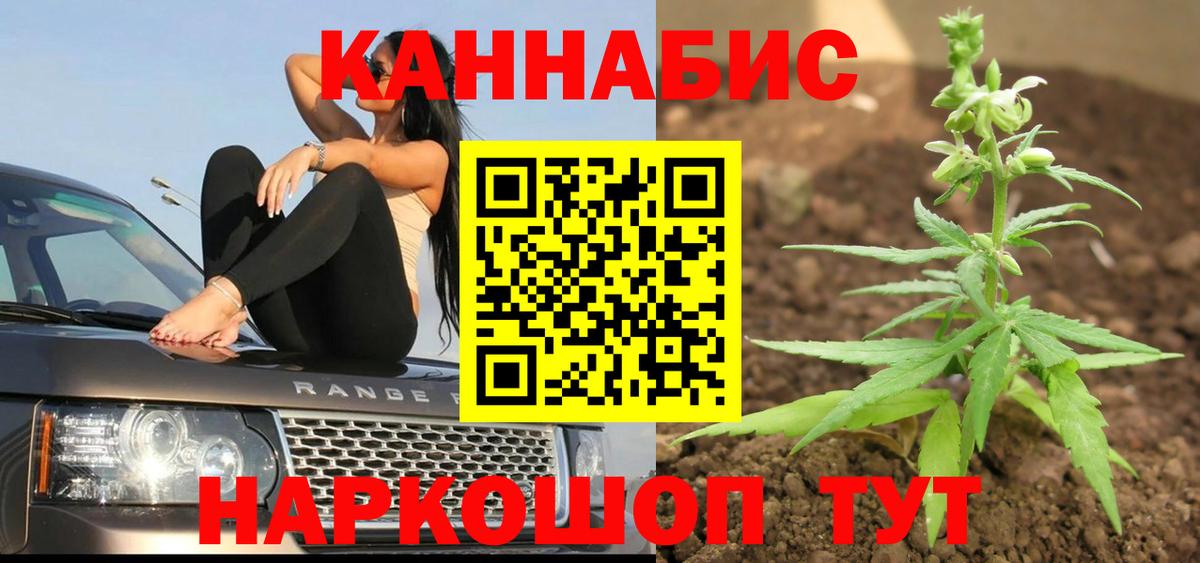 Канабис планчик Благовещенск